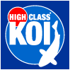 High Class Koi Carp