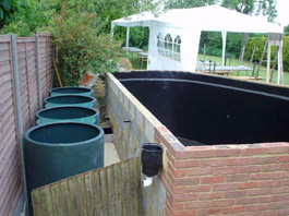 Pond skimmer and filters